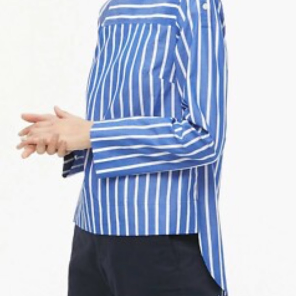 J. Crew Blue and White Striped Casual Shirt